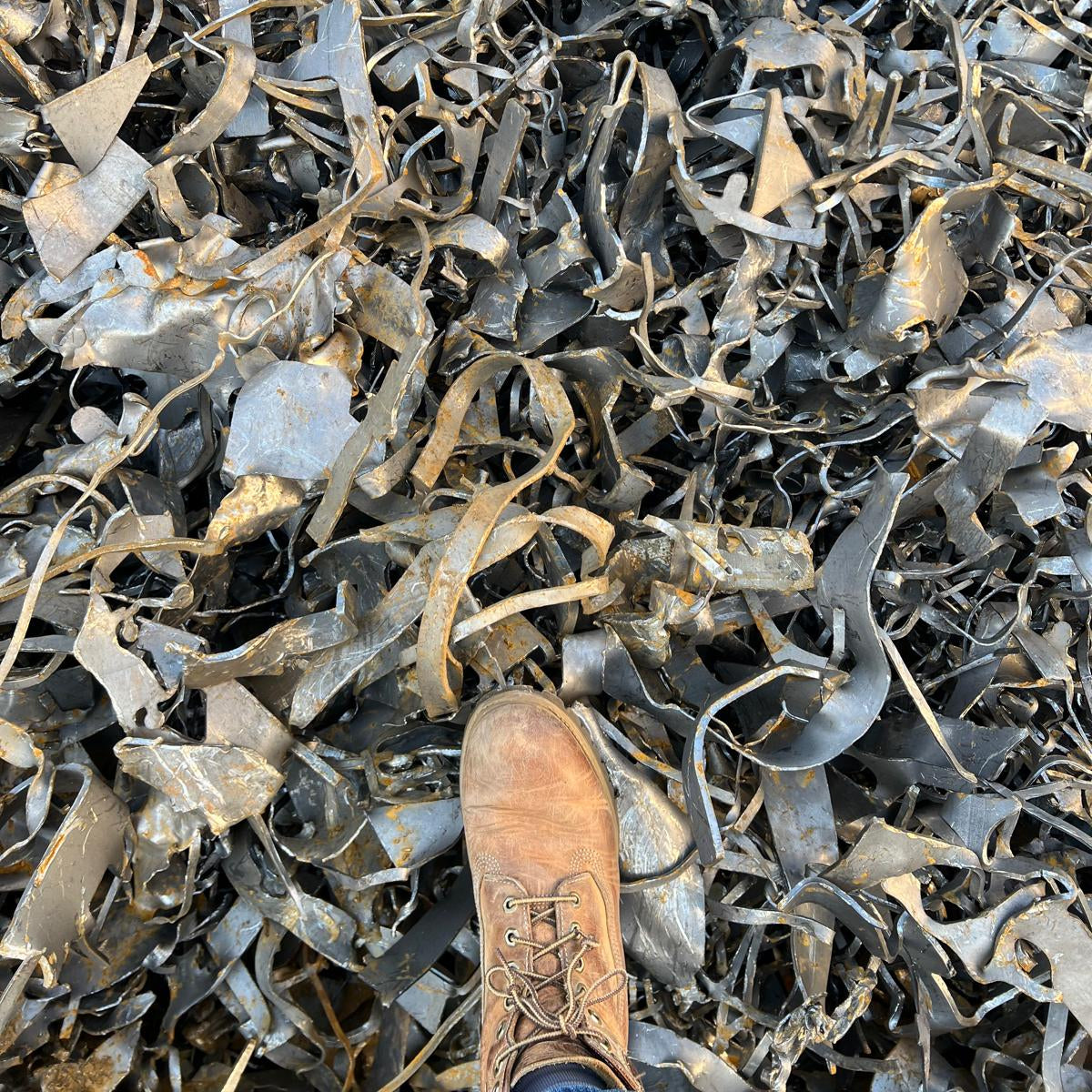 wolf 9500 shredded black clip